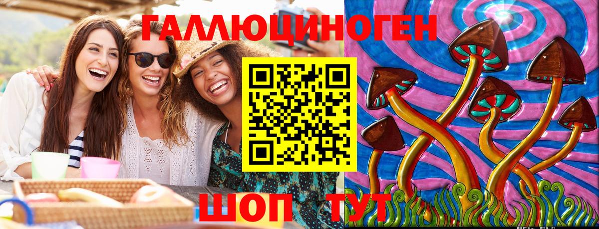 Псилоцибиновые грибы Cubensis Обь