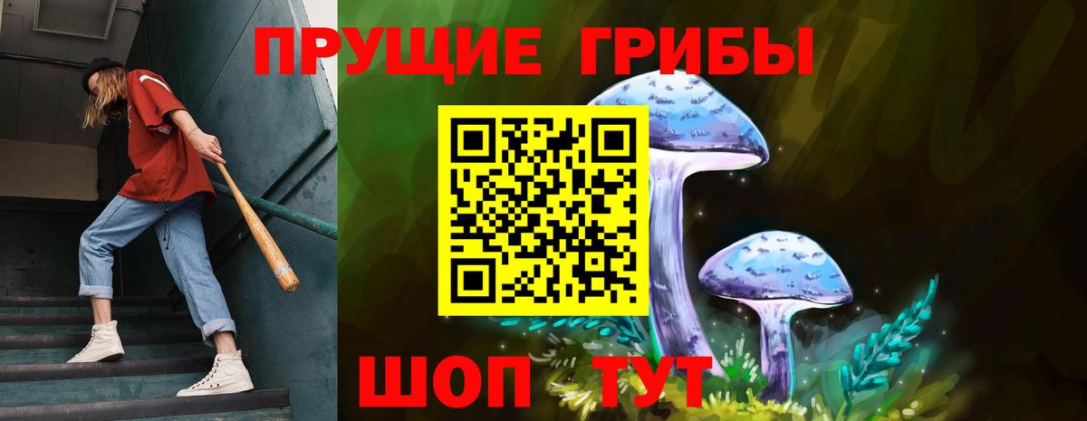Обь  Галлюциногенные грибы мухоморы  Вход с VPN 